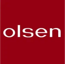 Разработка бизнес-плана для Olsen